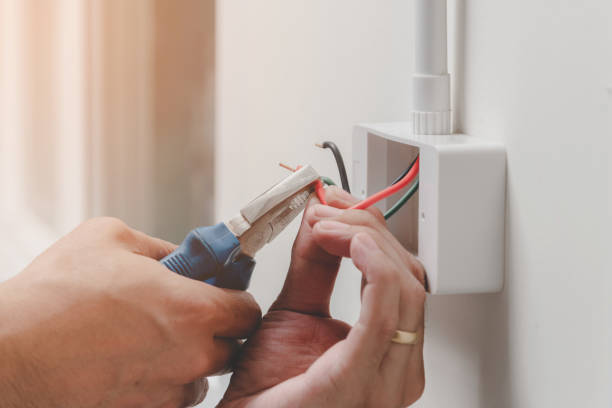 Best Emergency Electrical Repair Services  in Waldo, FL