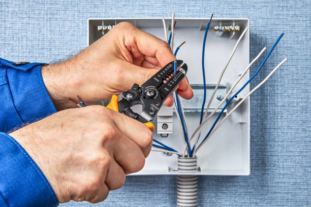 Best Electrical Maintenance Services  in Waldo, FL