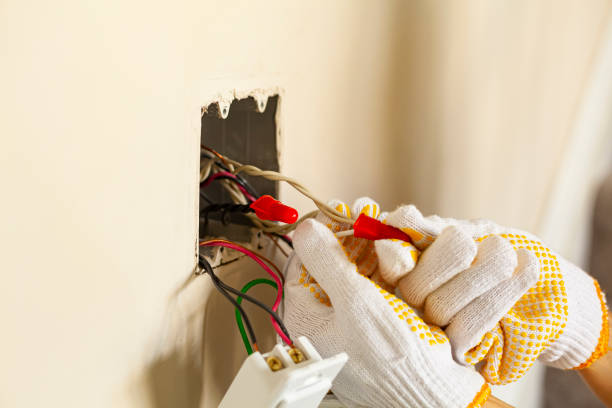 Best Electrical Remodeling Services  in Waldo, FL